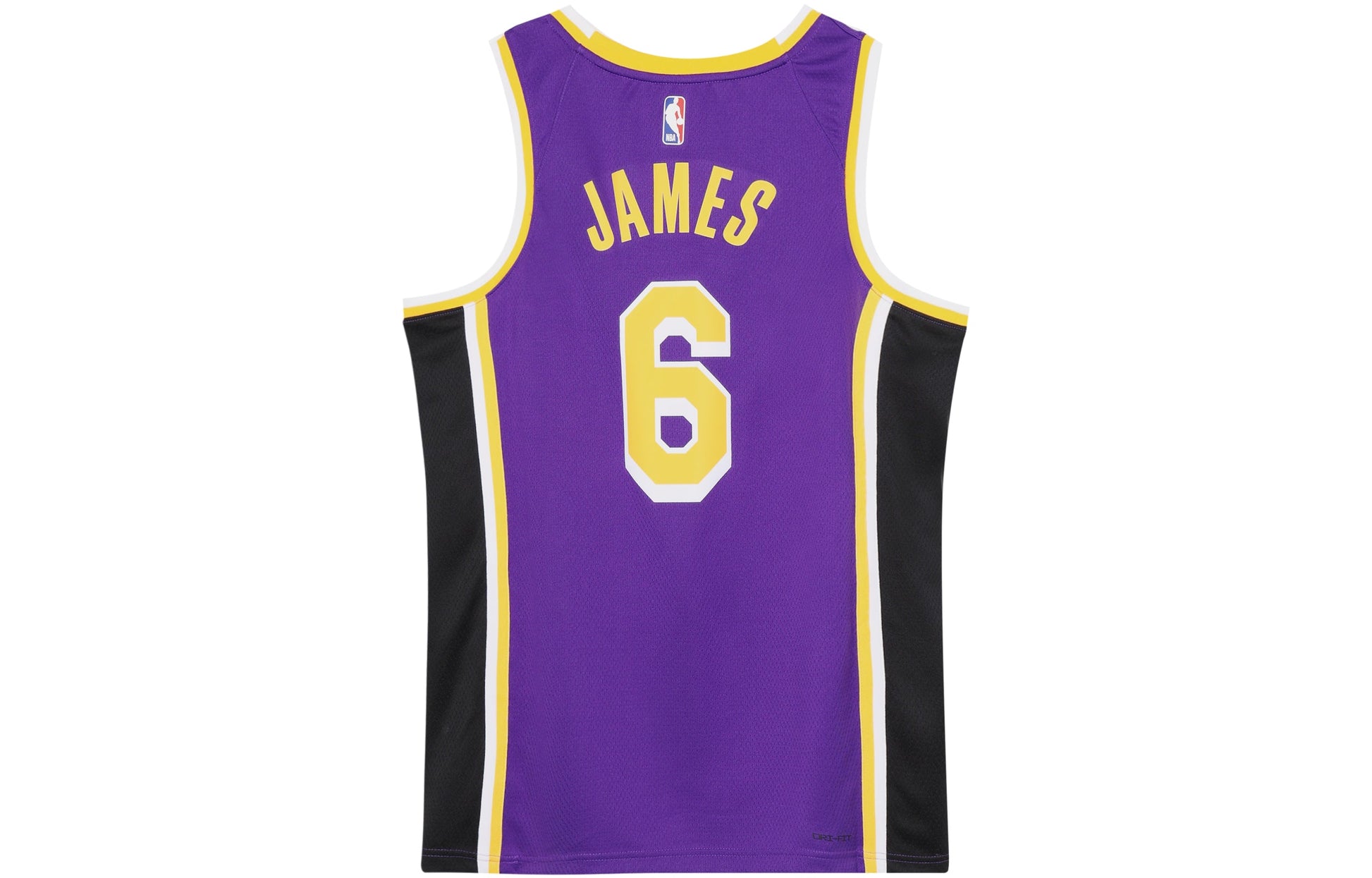 Men's Nike NBA Quick Dry Sports Basketball SW Fan Edition Version Los Angeles Lakers Lebron James No. 6 Purple Jersey CV9481-513