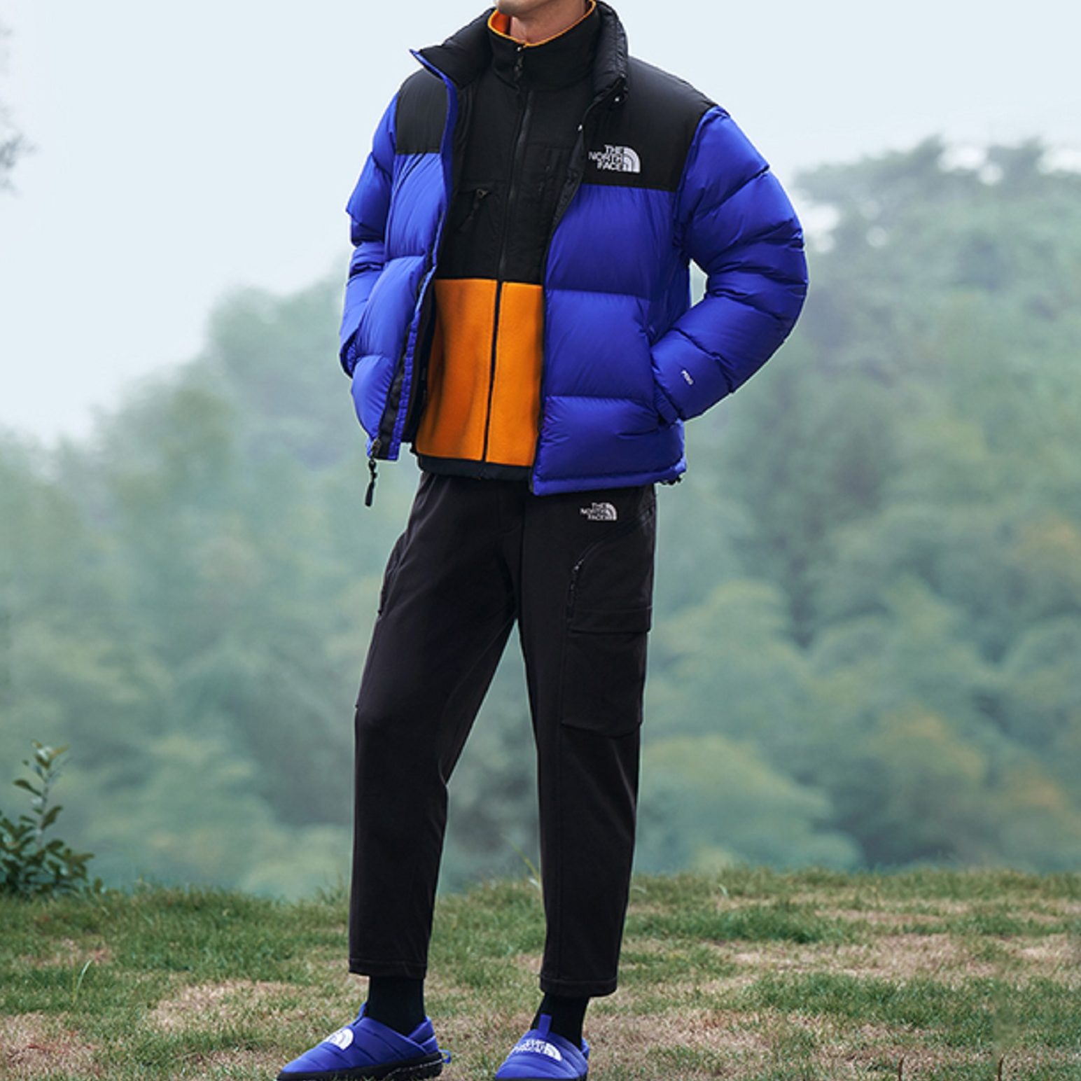 THE NORTH FACE 1996 Retro Nuptse Jacket LAPIS BLUE NF0A3C8D-40S