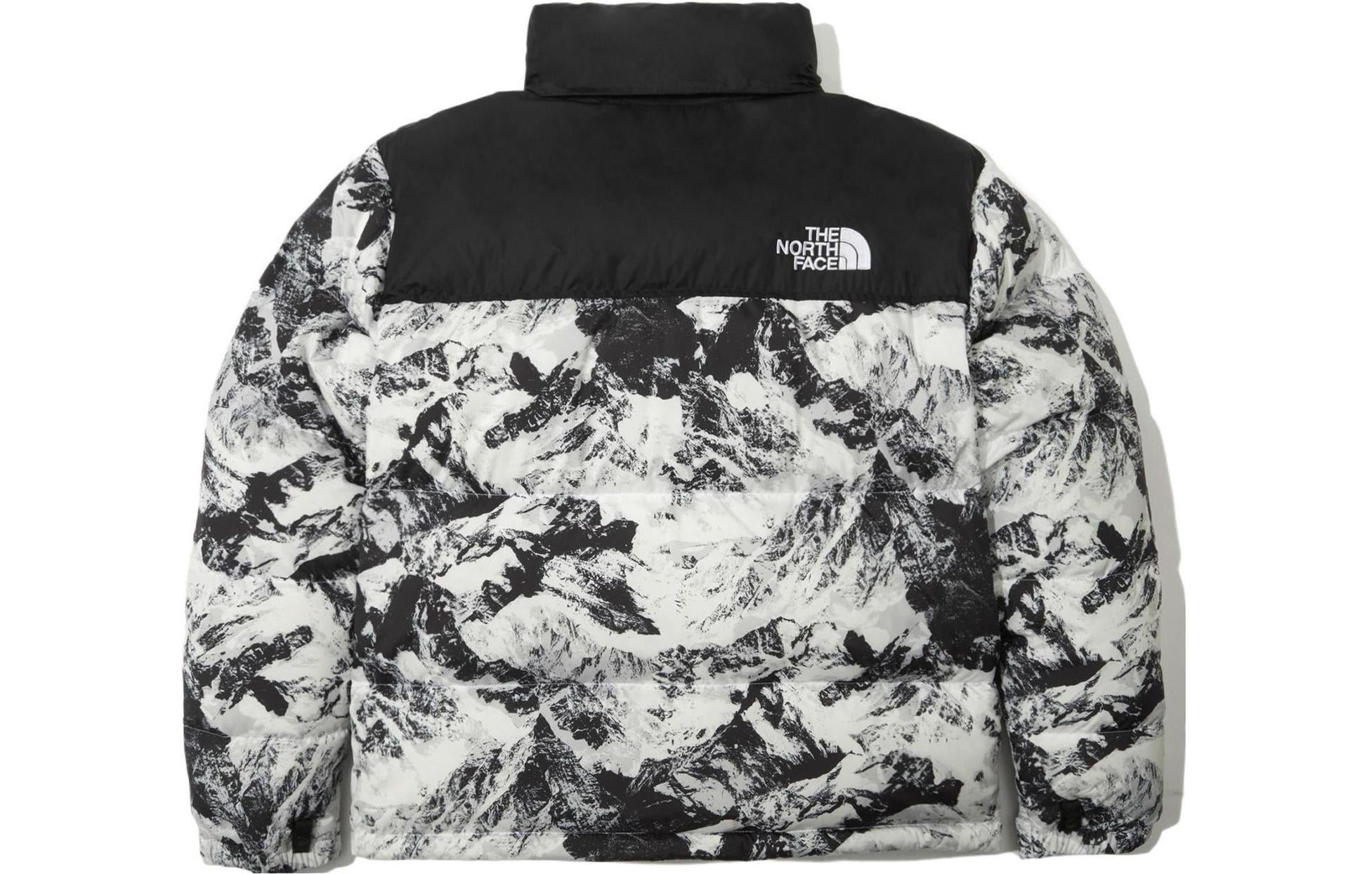 THE NORTH FACE 1996 Novelty Nuptse Jacket 'White' NJ1DN76A