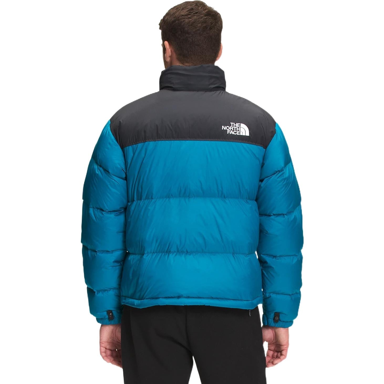 THE NORTH FACE 1996 Retro Nuptse 700 NF0A3C8D-M19