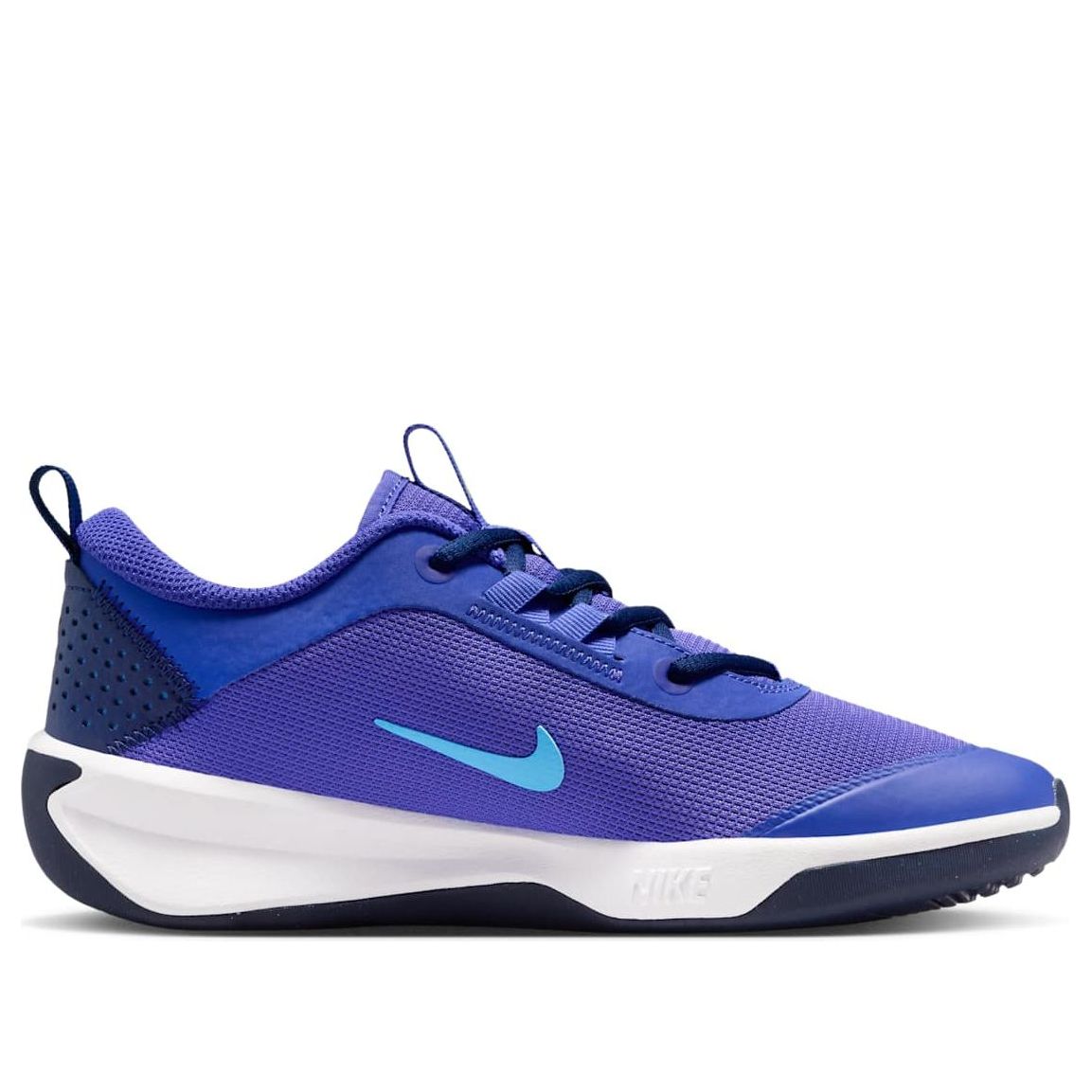 (GS) Nike Omni Multi-Court GS 'Persian Violet' DM9027-500
