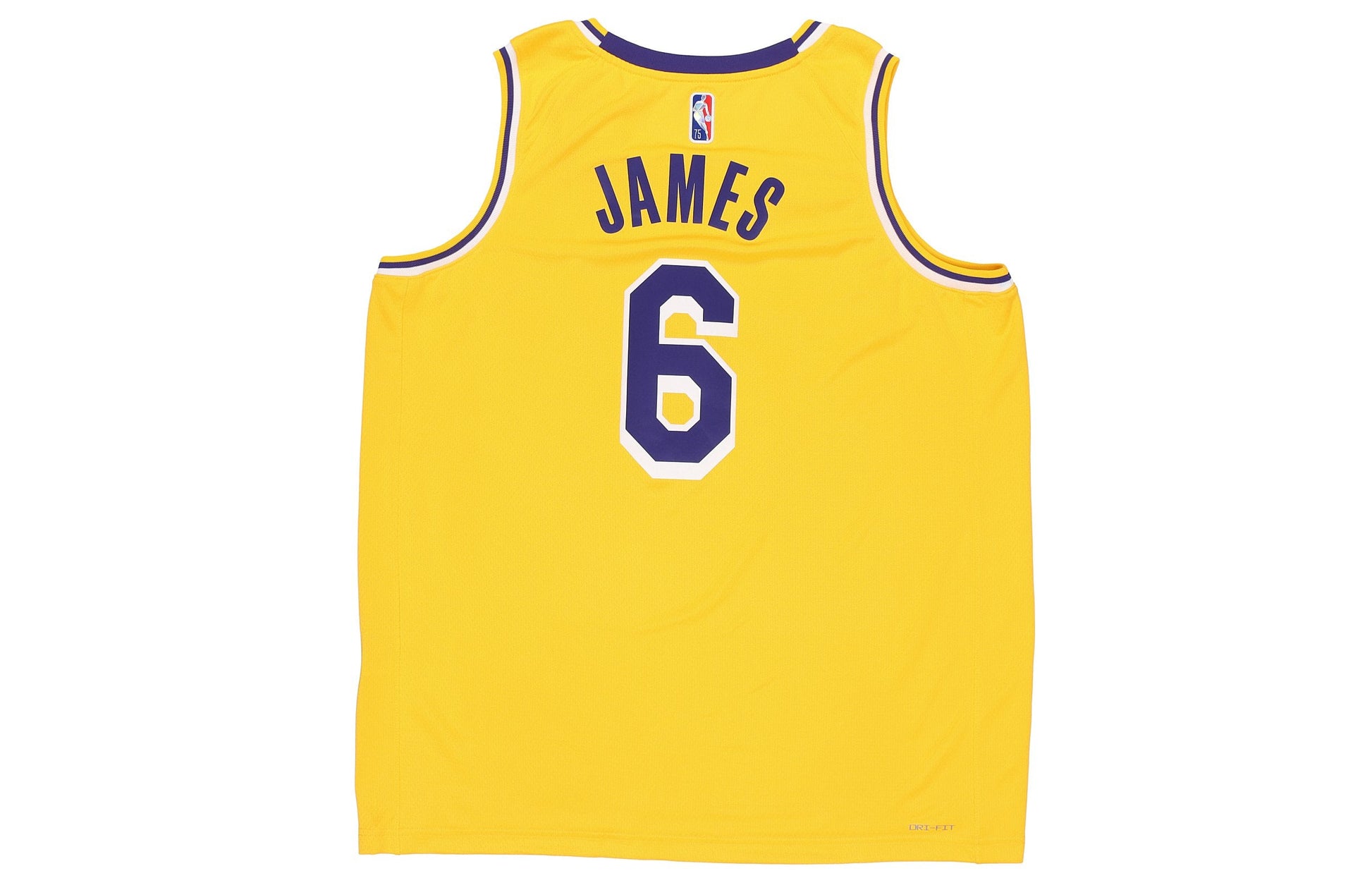 Nike x NBA LA Lakers Jerseys 'LeBron James 6' DB3576-731