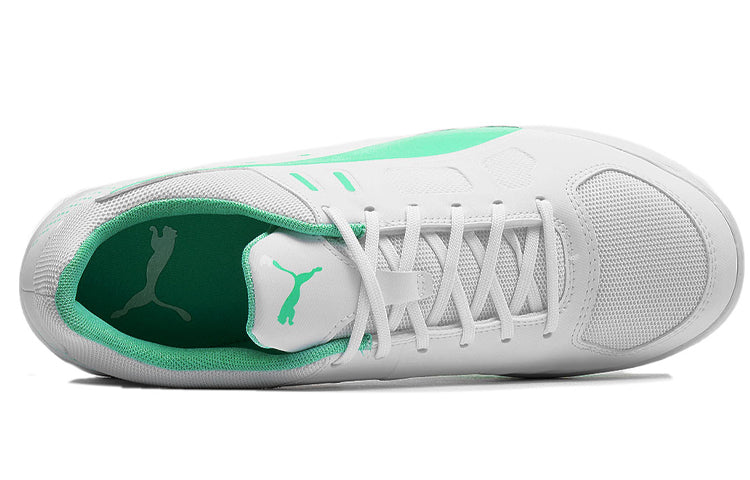 PUMA Auriz Indoor Grey/Green 105600-04