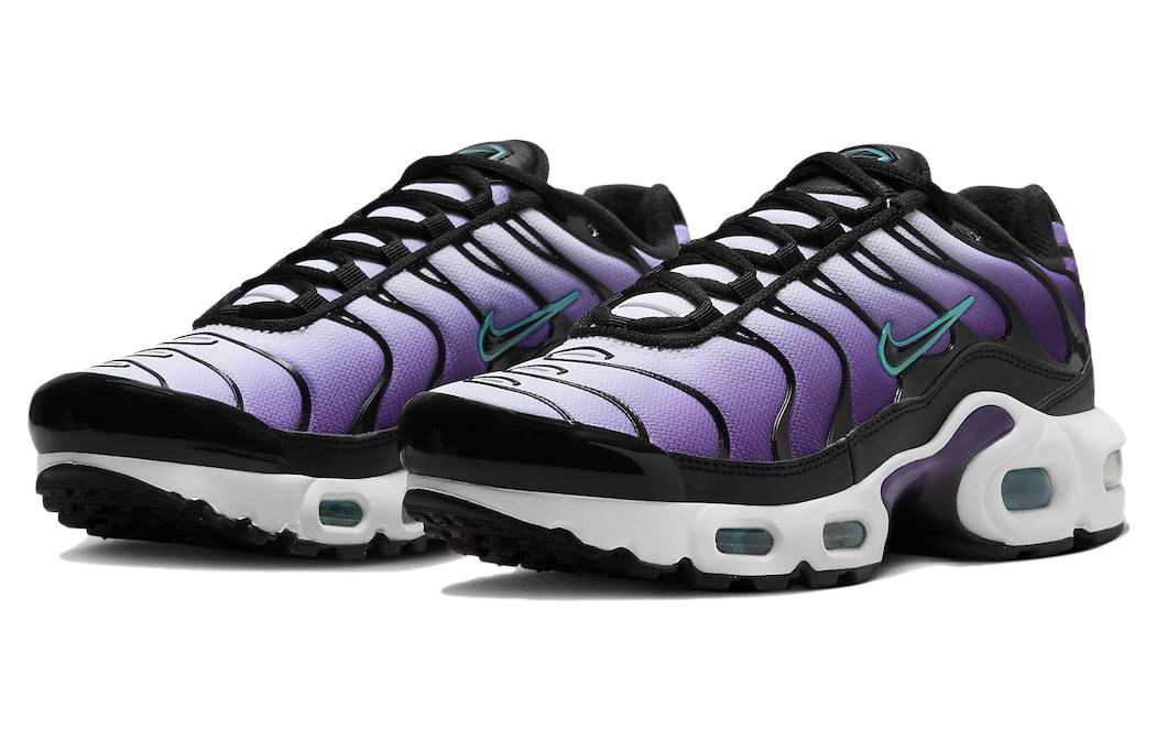 (GS) Nike Air Max Plus 'Reverse Grape' FQ2412-500