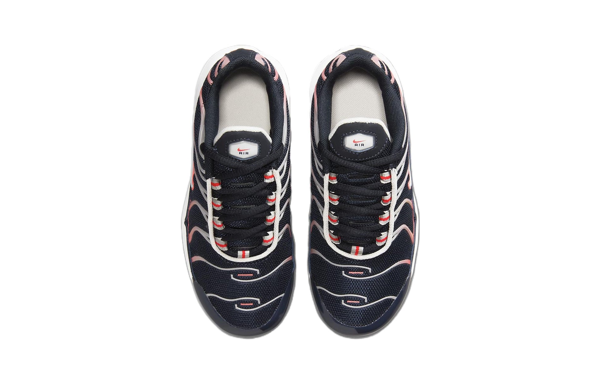 (PS) Nike Air Max Plus 'Dark Obsidian Red' CD0610-408