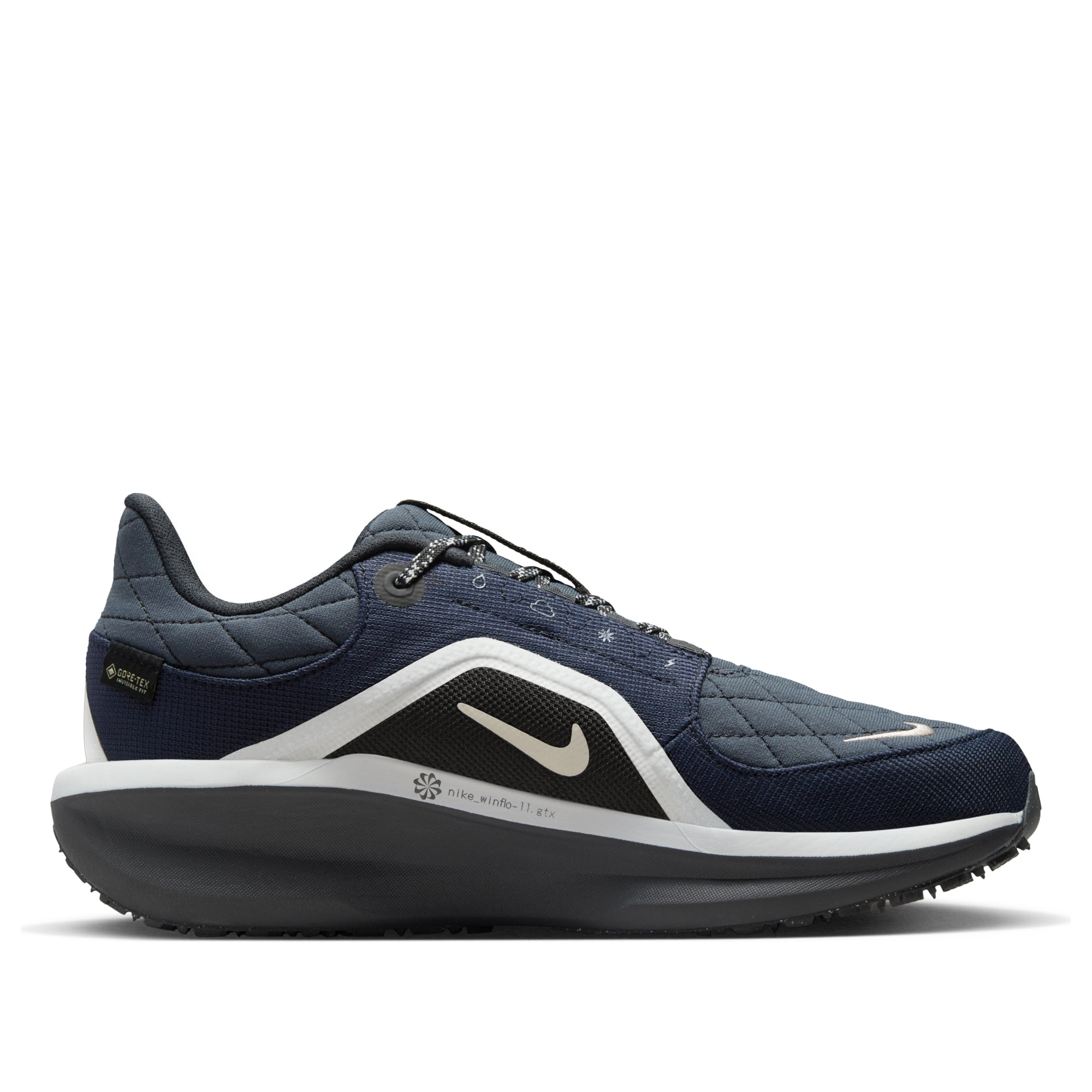 (WMNS) Nike Winflo 11 Gore-Tex 'Dark Obsidian' FQ1359-400