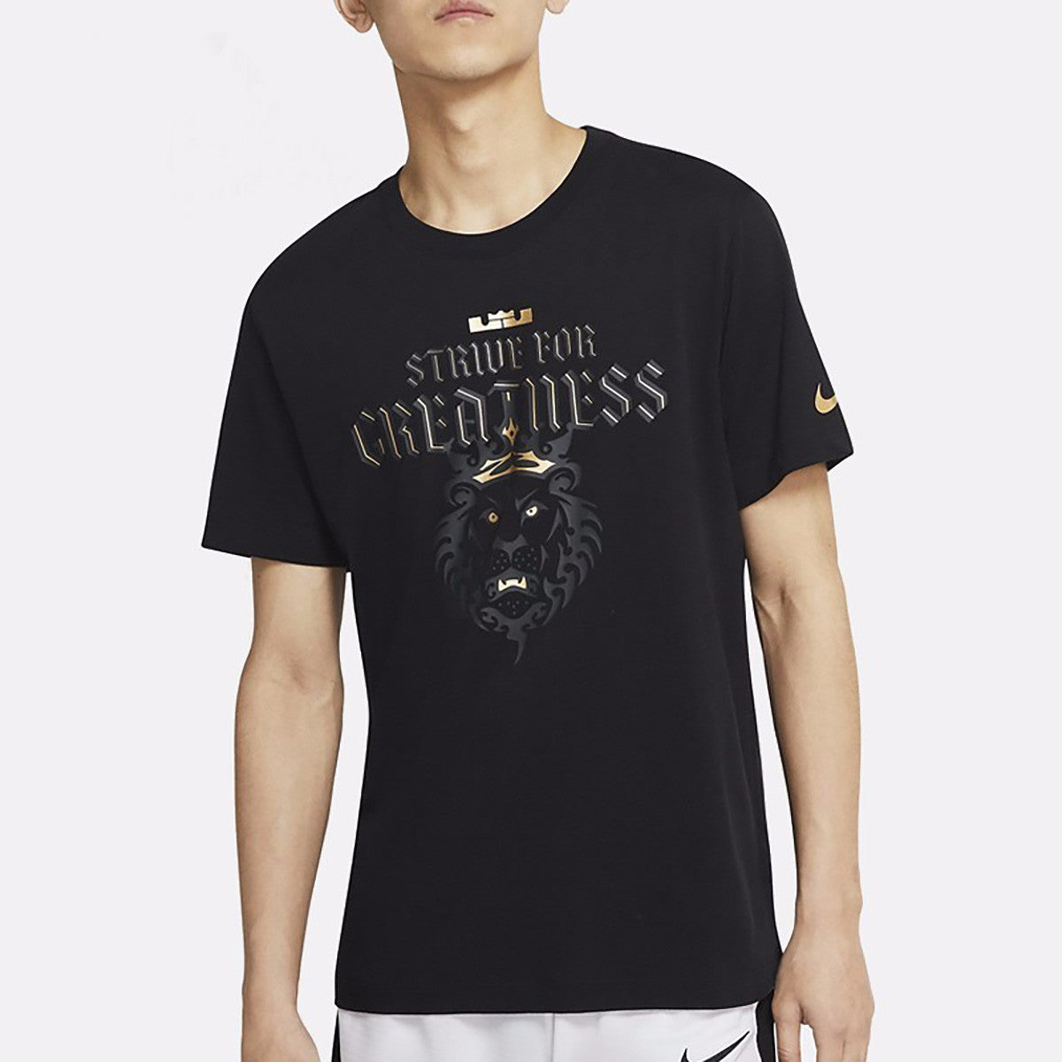 Nike Dri-FIT Lebron Strive For Greatness DRI-FIT TEE Men Black CD1321-010