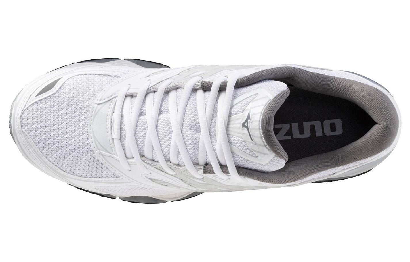 Mizuno Wave Prophecy LS 'White Silver' D1GA333702