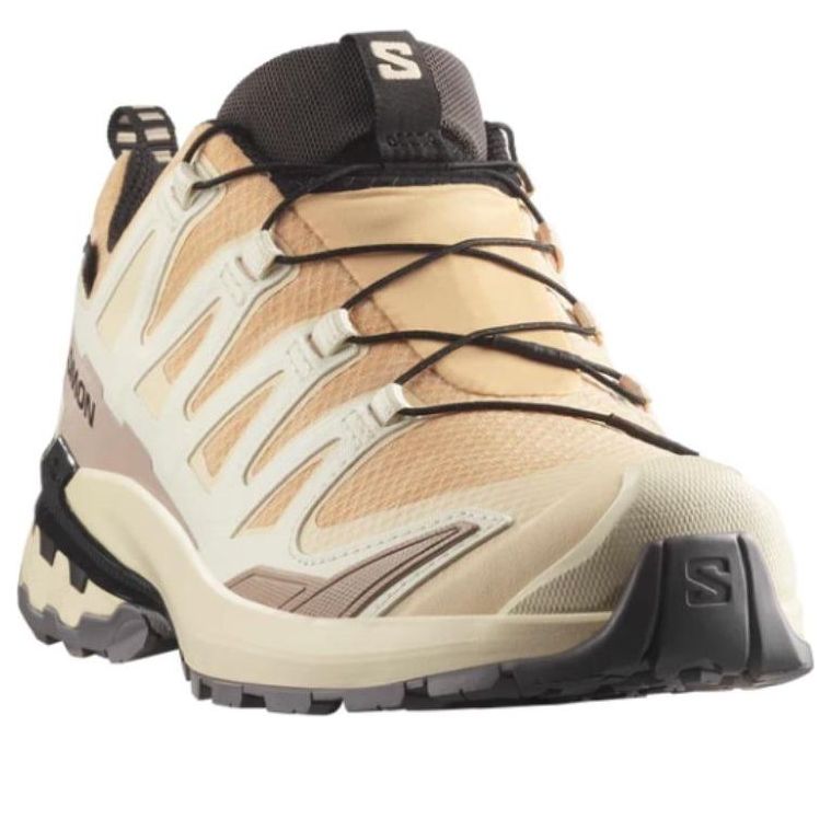 SALOMON XA Pro 3D V9 GTX 'Hazelnut Tender Peach Black' 478176