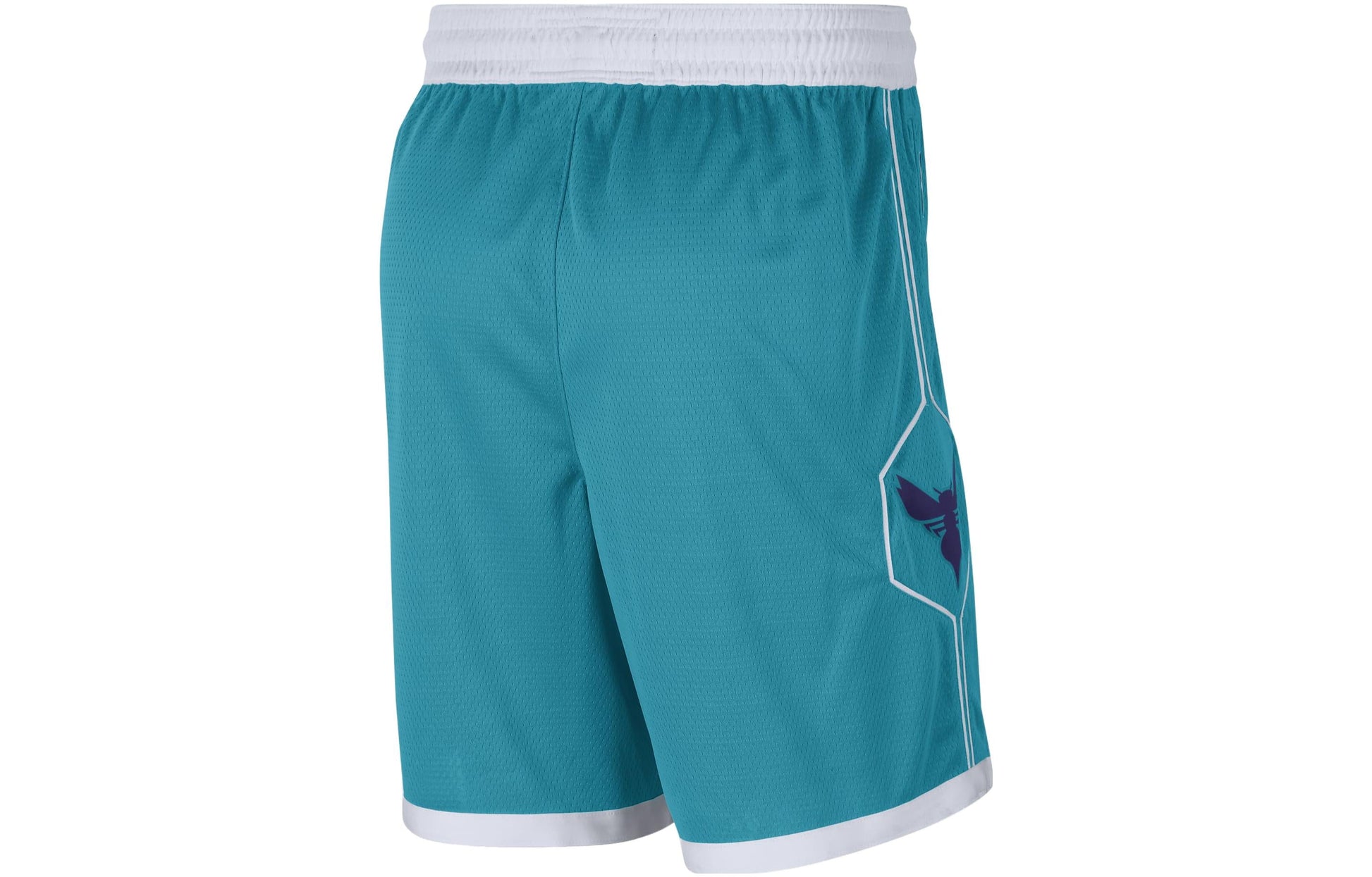 Air Jordan Hornets Icon Edition 2020 NBA Swingman Shorts 'Teal White' CN8083-443