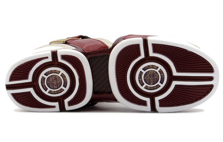 Nike Zoom LeBron 5 'Christ The King' 317253-111