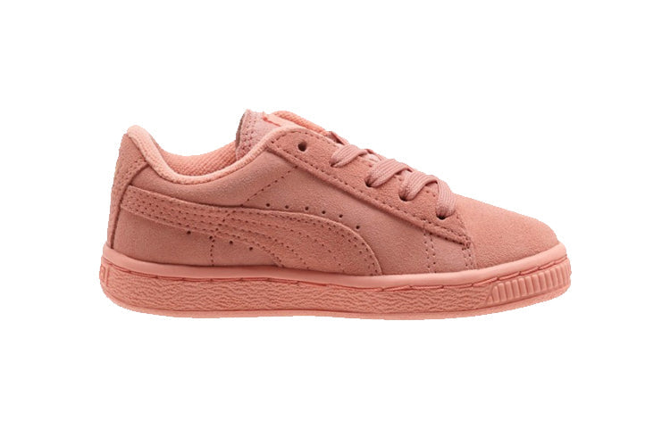 (TD) PUMA Suede 'Desert Flower' 353636-29