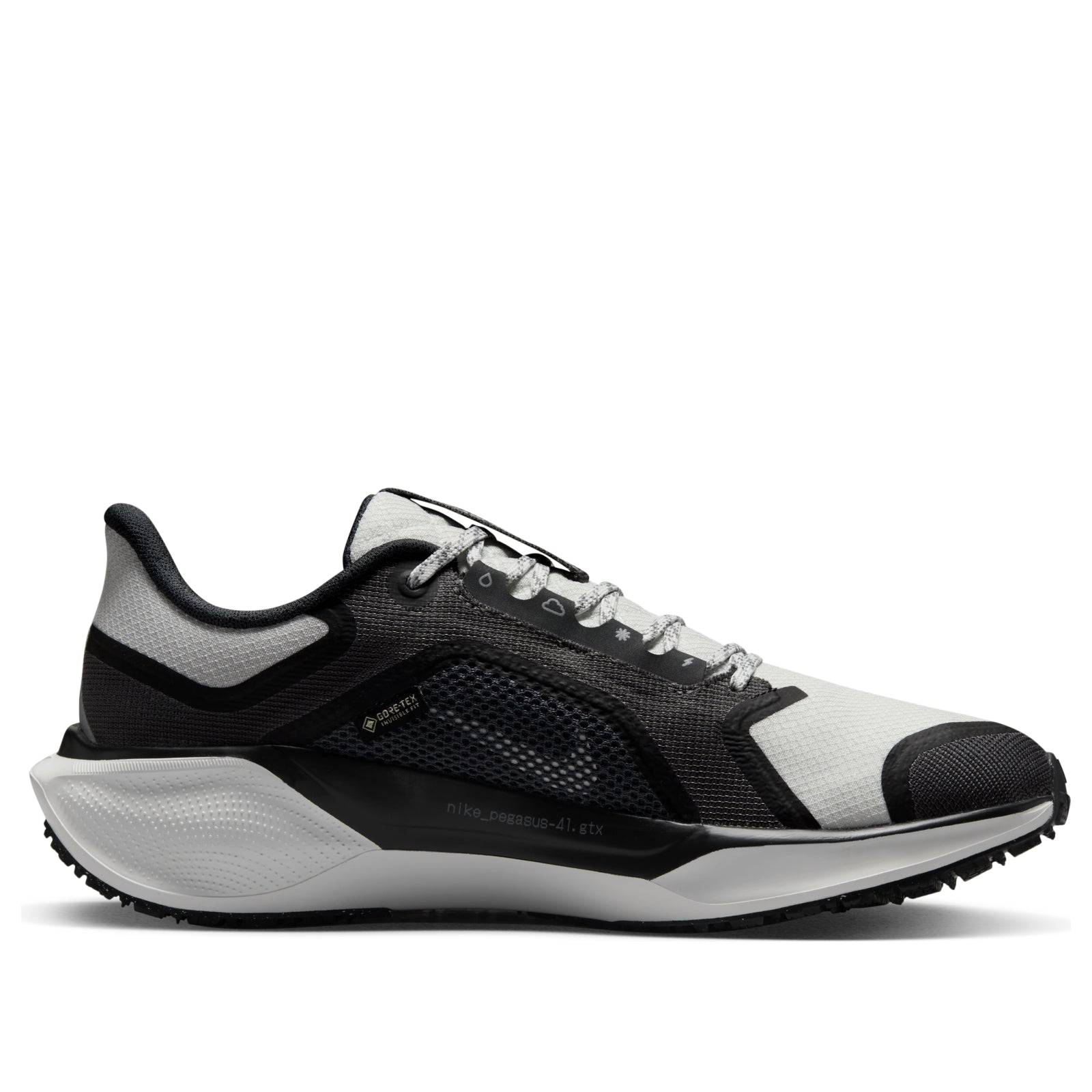 (WMNS) Nike Air Zoom Pegasus 41 Gore-Tex 'Black Summit White' FQ1357-002
