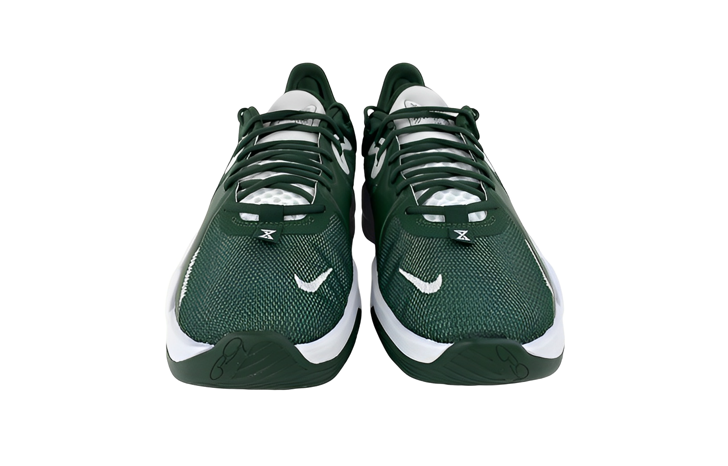 Nike PG 5 TB 'Fir' DM5045-301