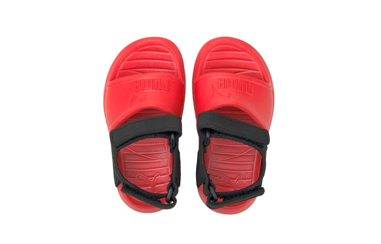 (TD) PUMA Divecat v2 Injex 'Poppy Red' 369545-08