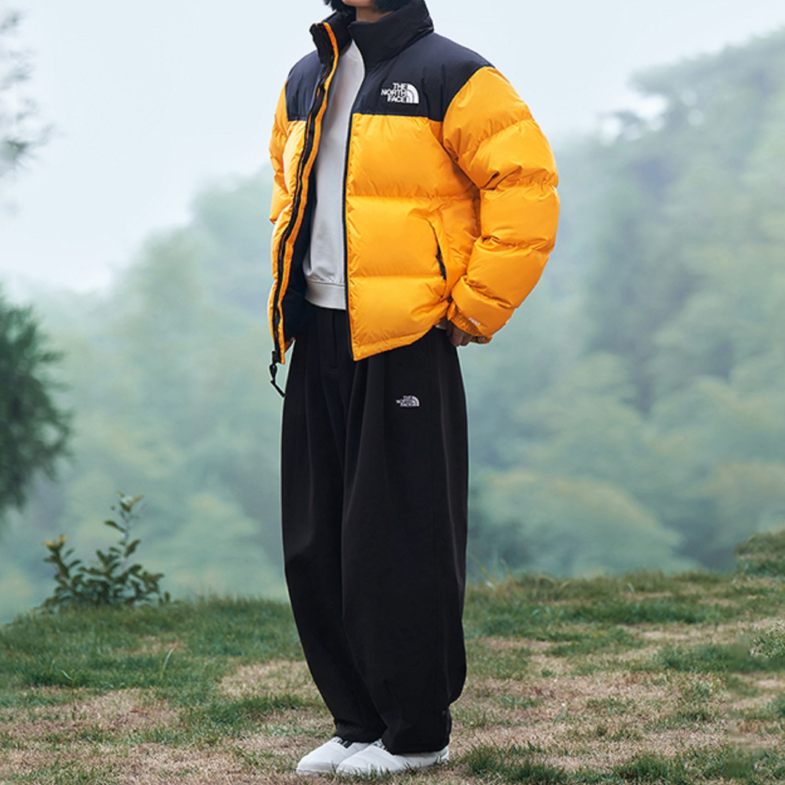 THE NORTH FACE 1996 Nuptse Jacket 700 NF0A3C8D-78M