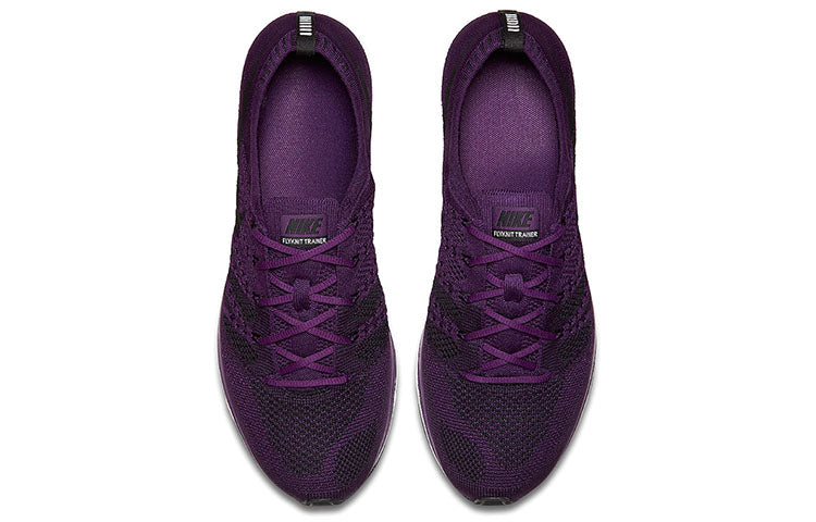 Nike Flyknit Trainer 2017 'Night Purple' AH8396-500