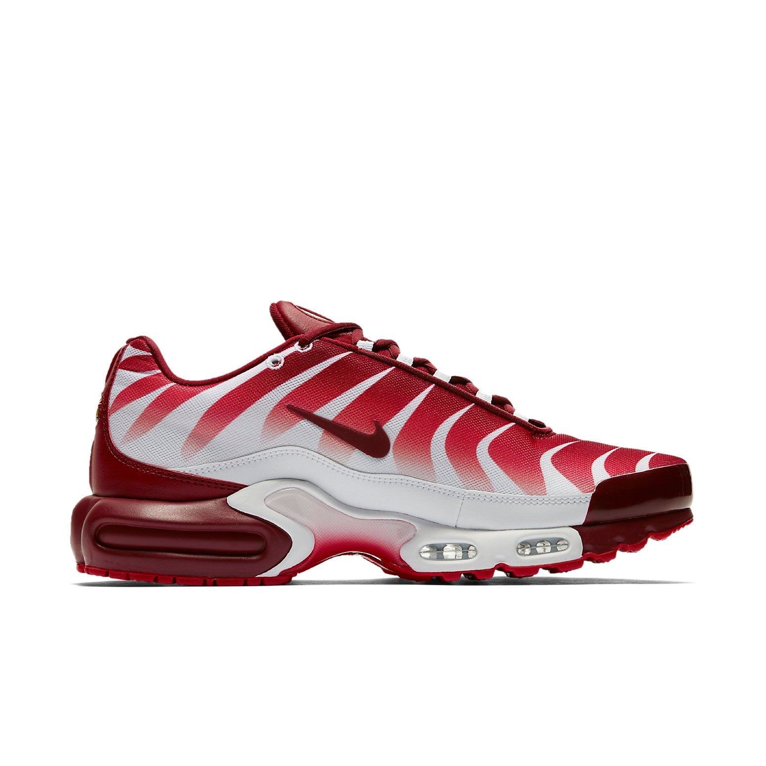 Nike Air Max Plus 'After the Bite' AQ0237-101