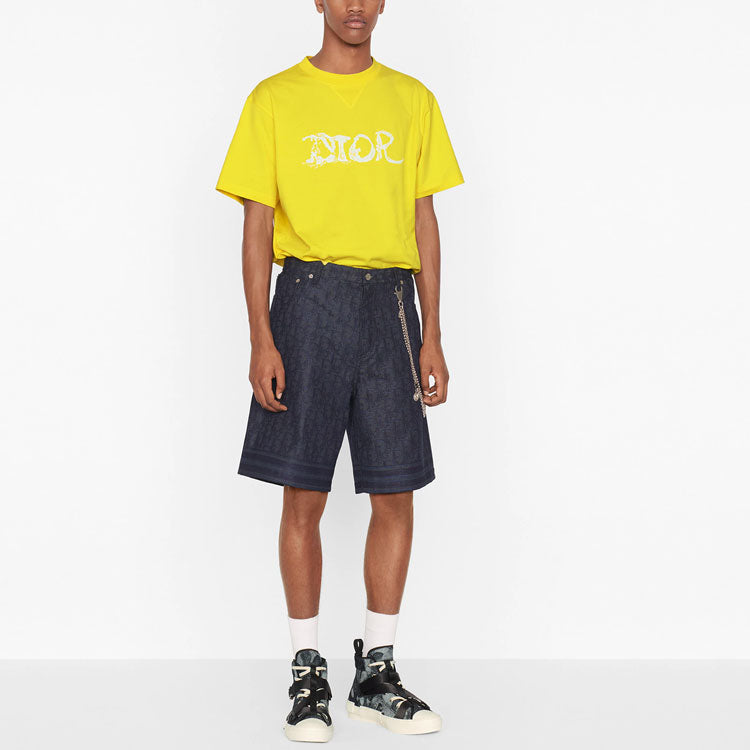 Men's DIOR x PETER DOIG Crossover FW21 Logo Embroidered Round Neck Short Sleeve Yellow T-Shirt 143J685C0677-C270
