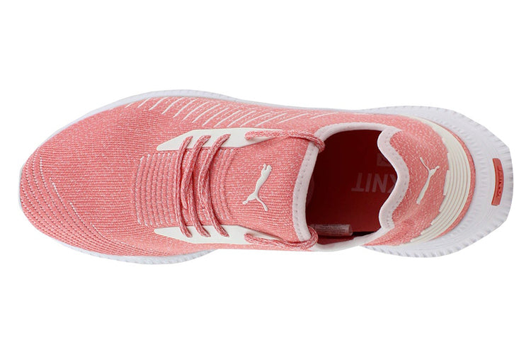 PUMA Avid Evoknit Low Top Pink 365392-06