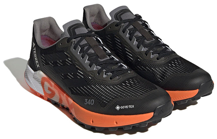adidas Terrex Agravic Flow 2.0 Flow Gore-Tex 'Black White' HR1110