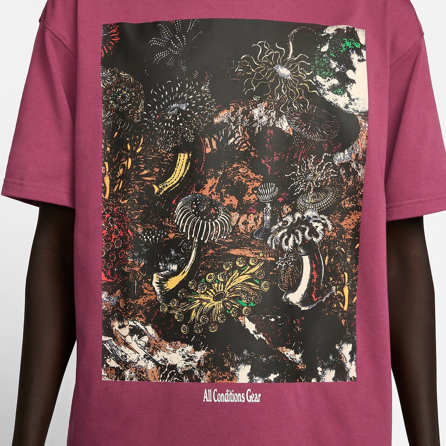 Nike ACG Tidal Pool T-Shirt 'Rosewood' DX9448-653