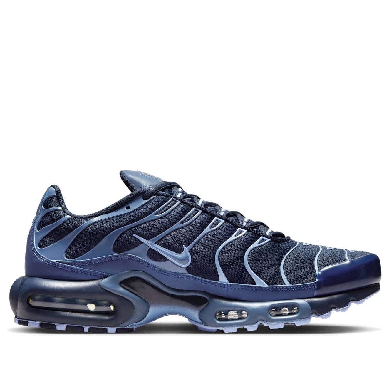 Nike Air Max Plus 'Obsidian Aluminum' IM6601-451