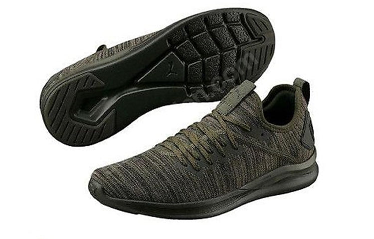 PUMA Ignite Flash evoKnit 'Forest Night' 190508-04