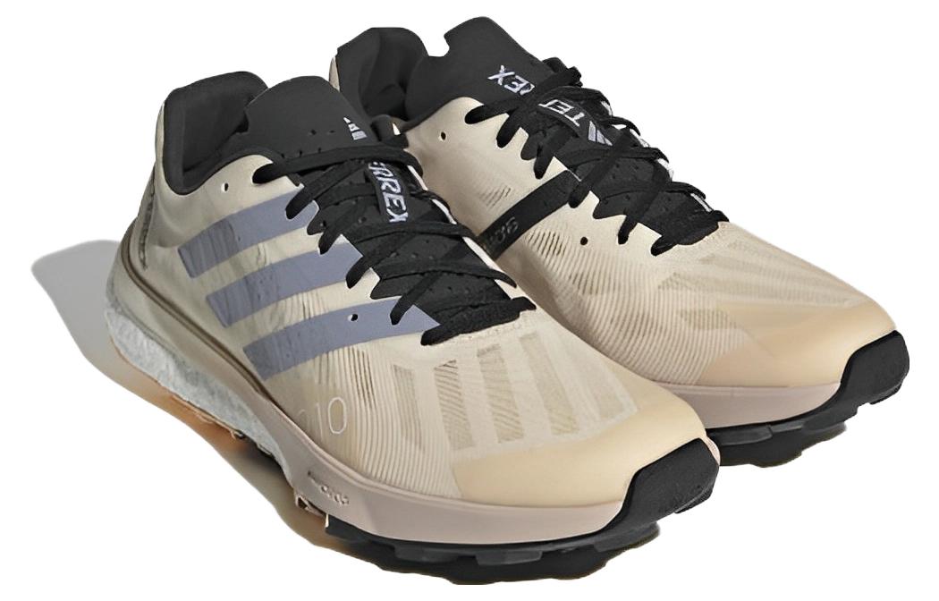 (WMNS) adidas Terrex Agravic Flow 2.0 'Sand Strata Silver Violet' HR1163
