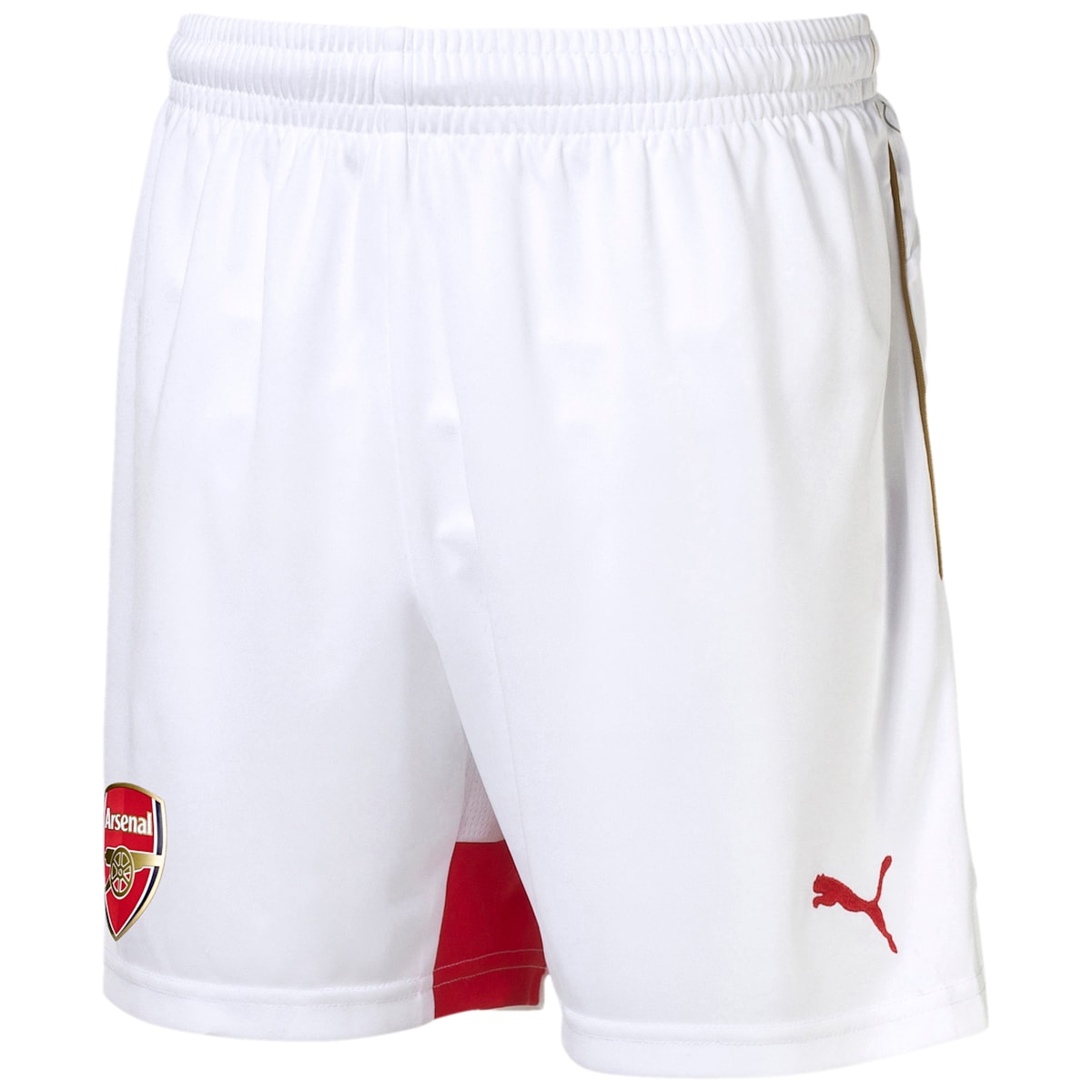 PUMA Non Men Appeal 747579-02