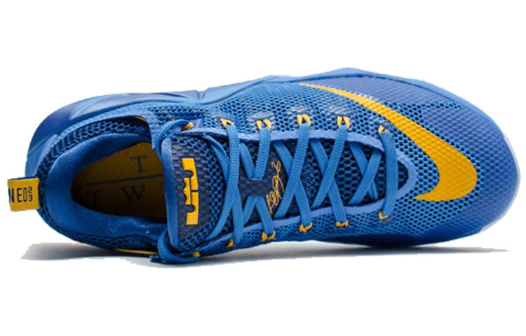 Nike LeBron 12 Low 'Entourage' 724557-484