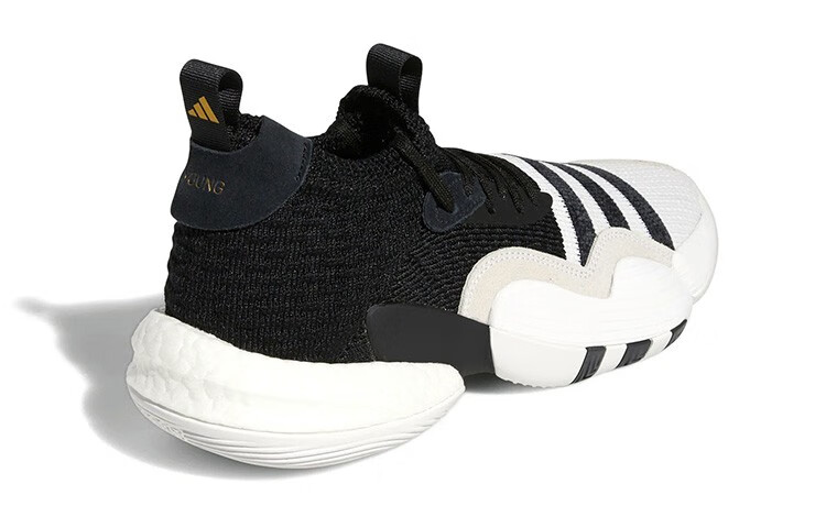 adidas Trae Young 2.0 Basketball Shoes 'Cloud White / Core Black' H06477