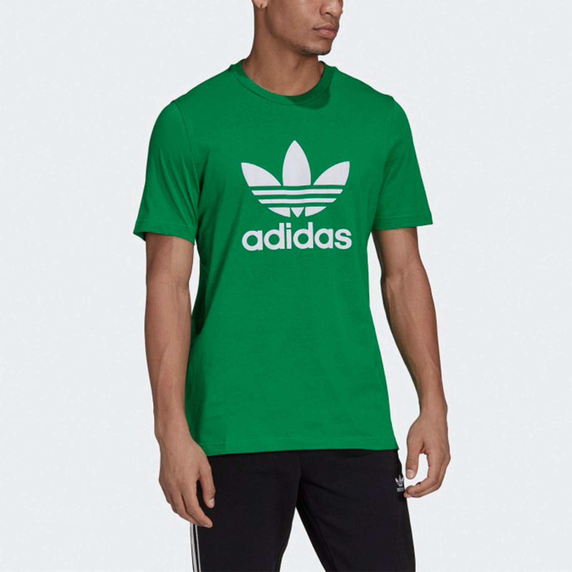 adidas originals Adicolor Classics Logo Tee H06639
