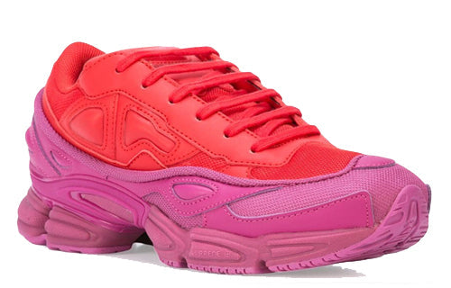 adidas Raf Simons x Ozweego 'Glory' F34265