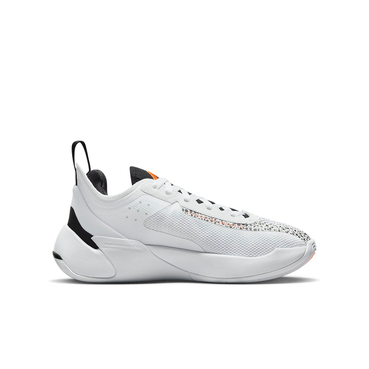(GS) Air Jordan Luka 1 'Safari' DQ6513-108