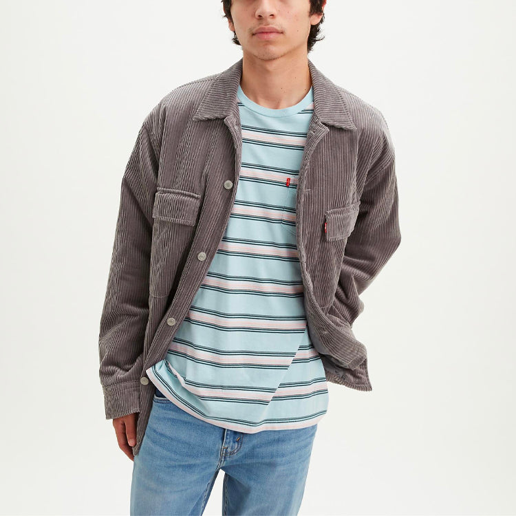 Men's Levis Loose Round Neck Stripe Short Sleeve Blue T-Shirt 29813-0102