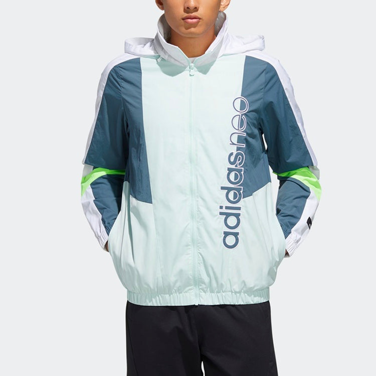 Men's adidas neo SS TT / WB Sports Dotted Green Jacket FN6528