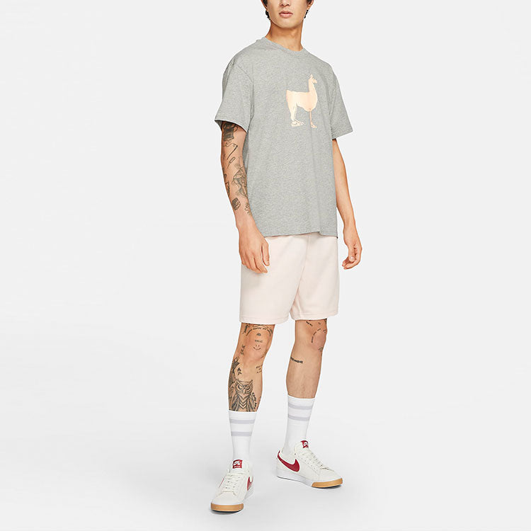Nike SB Skateboard Printing Skateboard Loose Knit Short Sleeve Gray DD1299-063