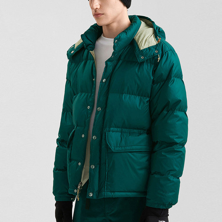 THE NORTH FACE Nuptse Jacket NF0A821N-D7V