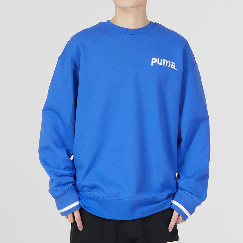 PUMA Team Crew Tr Logo Sweater 'Blue' 620614-92