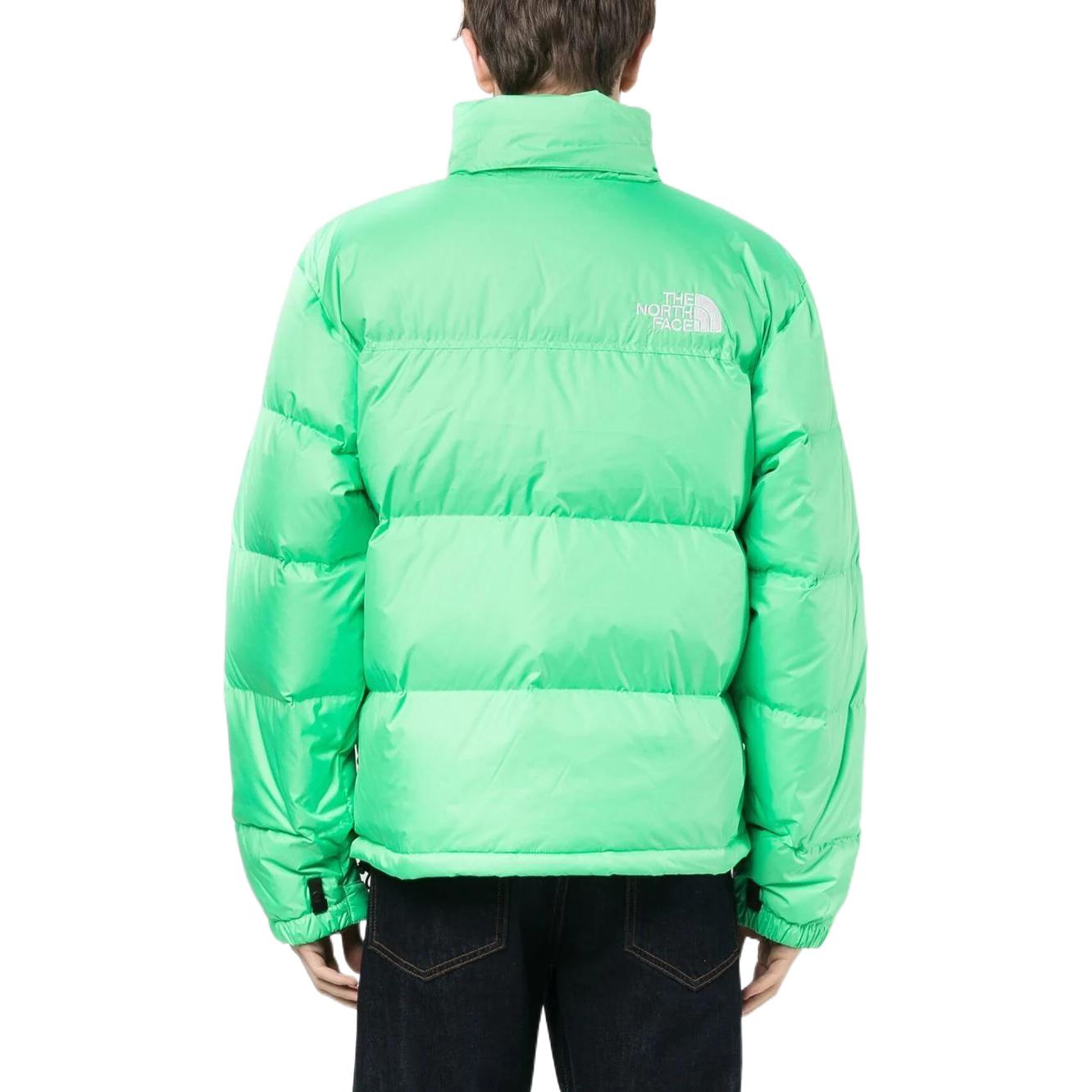 THE NORTH FACE 1996 Nuptse Jacket 700 NF0A3C8D-8YK
