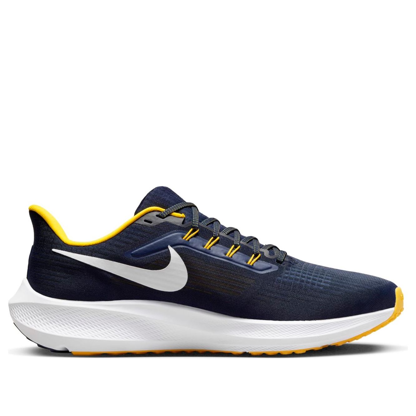 Nike Air Zoom Pegasus 39 'Michigan' DR1964-400