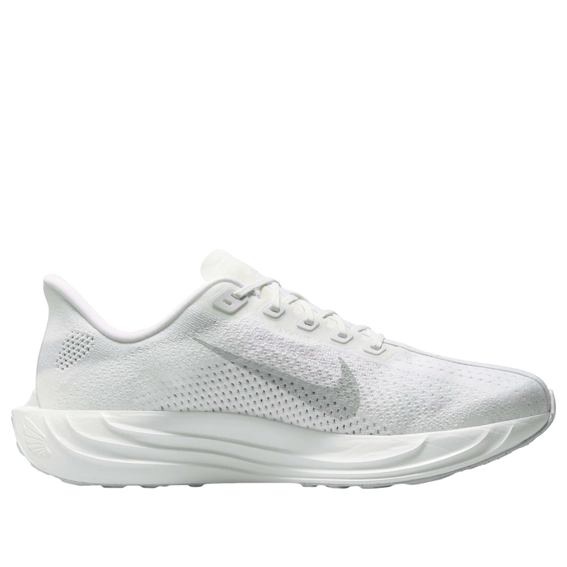 Nike Pegasus Plus 'White Wolf Grey Pure Platinum' FQ7262-102