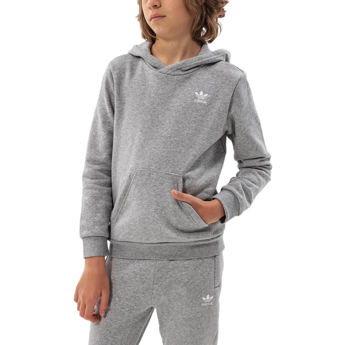 (PS) adidas Originals Adicolor Hoodie 'Grey' H32353