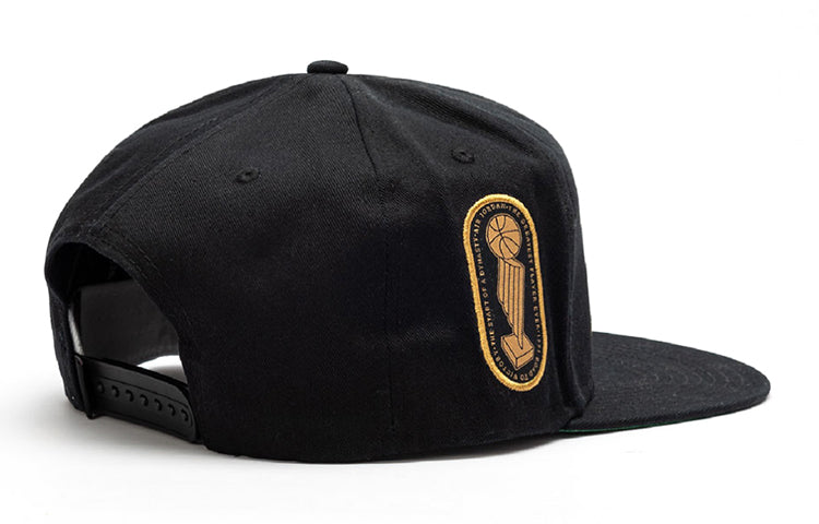 Air Jordan Pro Trophy Cap 'Black' CI4169