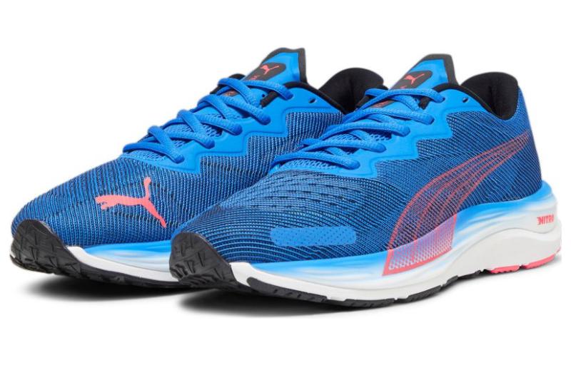 PUMA Velocity Nitro 2 'Ultra Blue Fire Orchid 195337-19