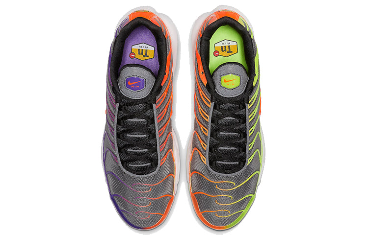Nike Air Max Plus 'Color Flip' CI5924-061