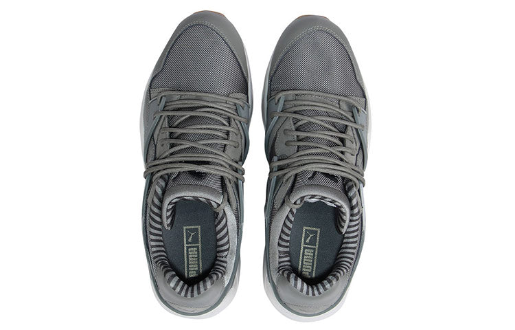 PUMA Disc Blaze Gray 359993-02