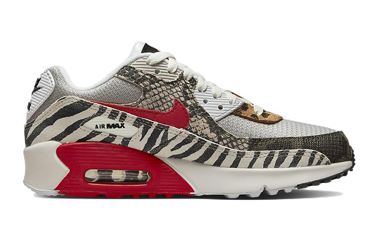 (GS) Nike Air Max 90 'Tunnel Walk' DZ4844-001
