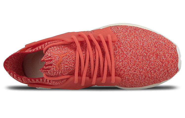 PUMA Blaze Cage Evoknit Running Shoes Red 364100-03